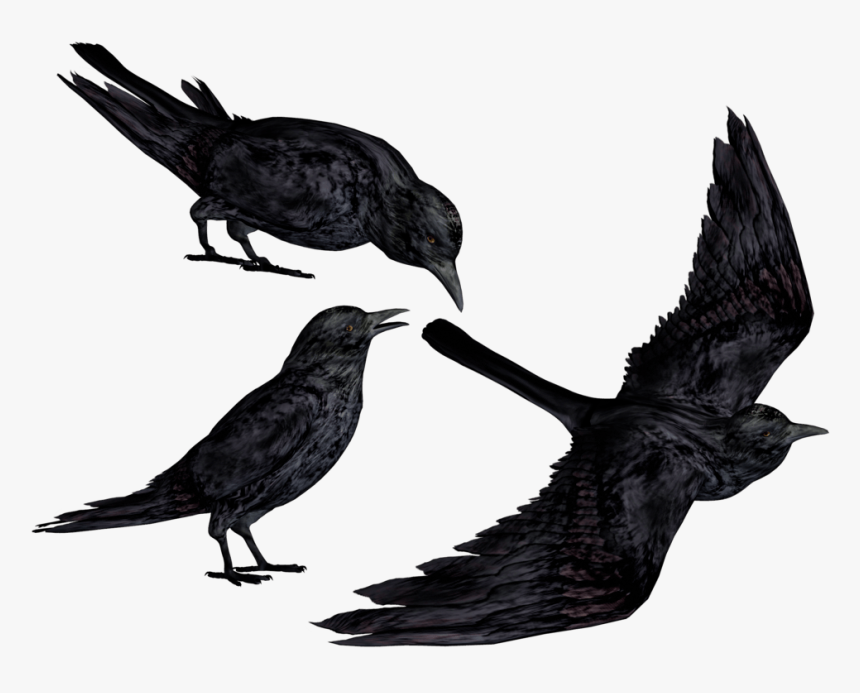 The Three Crows | One-Punch Man Wiki | Fandom