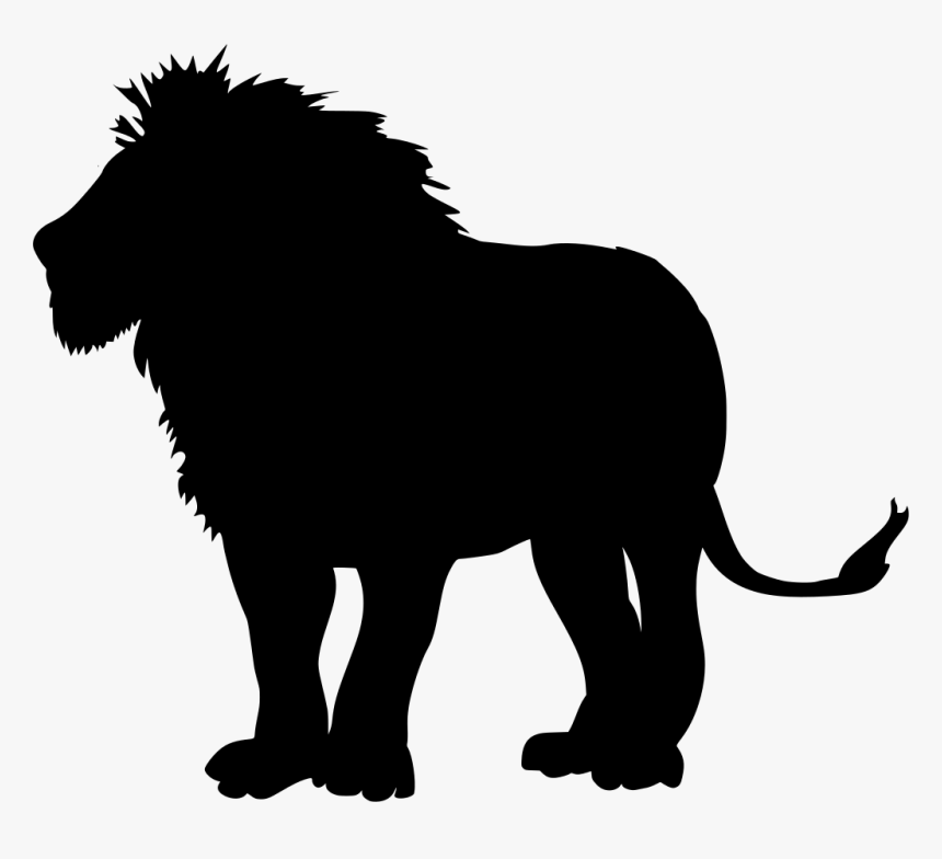 Lion, HD Png Download, Free Download