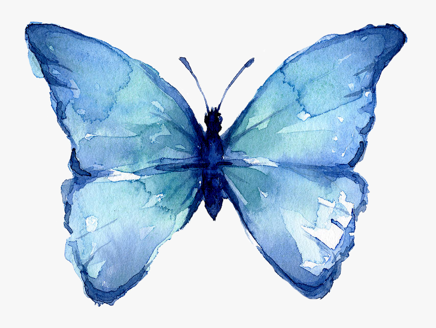 Alice In Wonderland Butterflies, HD Png Download, Free Download