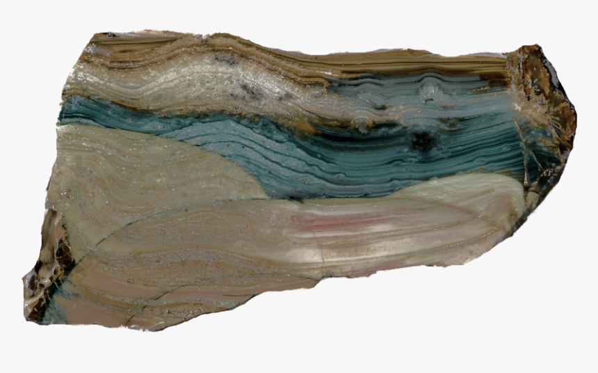 Driftwood, HD Png Download, Free Download