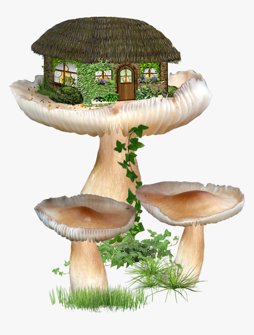 #sticker #mashroom #mashroomhouse #freetoedit - Fairytale Mushroom House Drawings, HD Png Download, Free Download