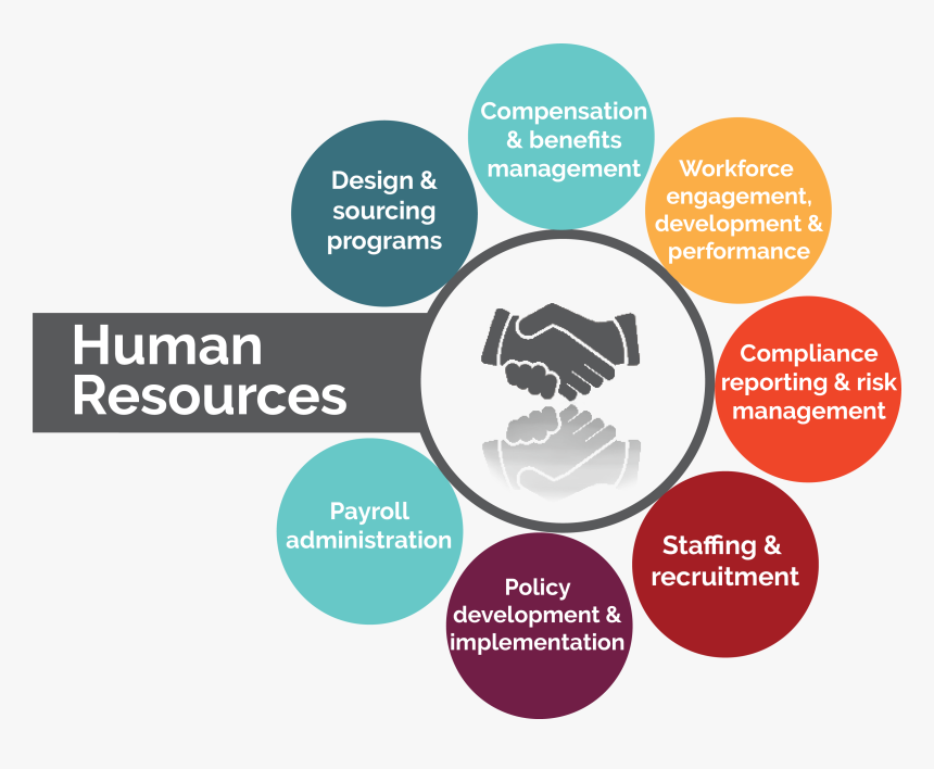 Hr Outsourcing - 11advisors - Information Technology, HD Png Download, Free Download