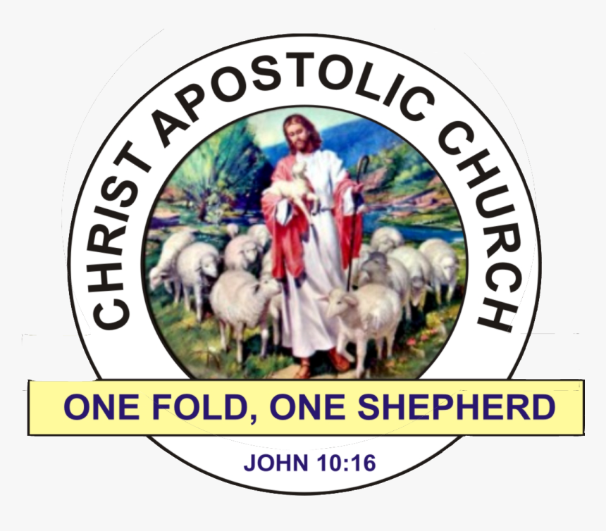 The Christ Apostolic Church - Nigeria Christ Apostolic Church Logo, HD Png Download, Free Download