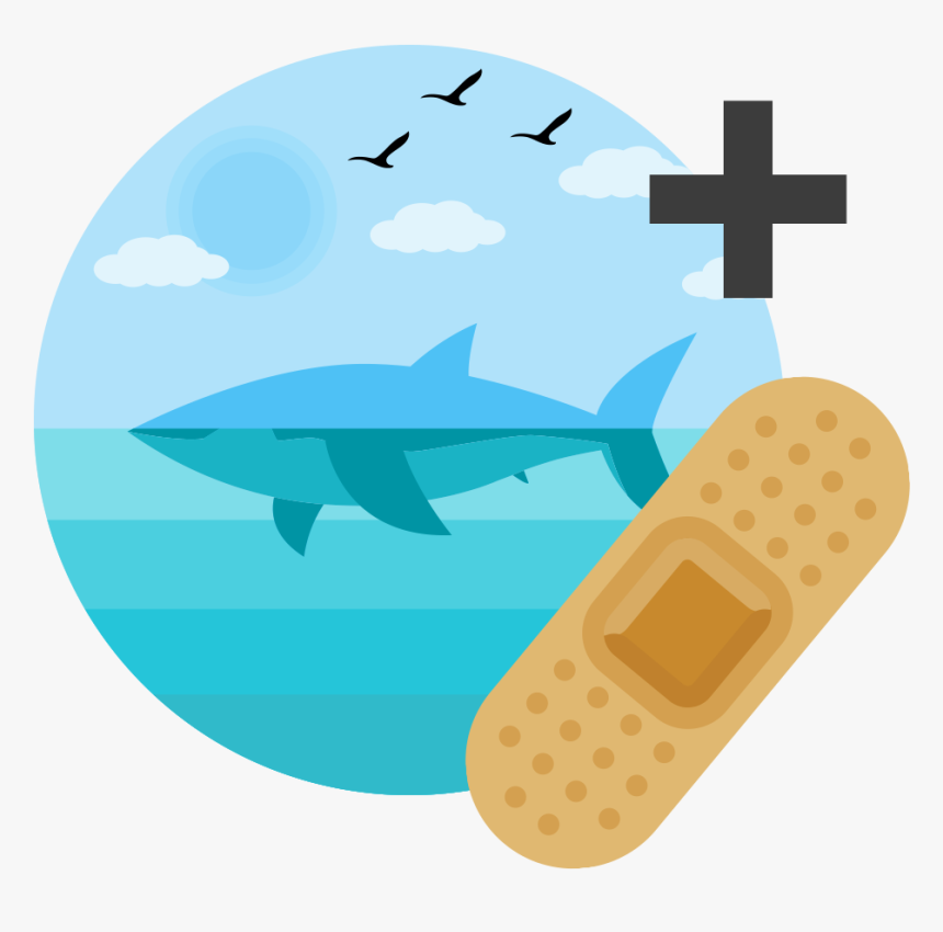 Flat Shark Icon, HD Png Download, Free Download