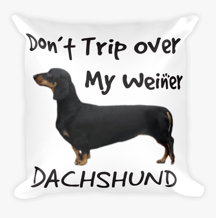 Dachshund, HD Png Download, Free Download