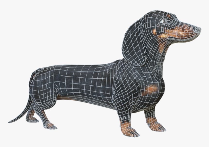 Dachshund, HD Png Download, Free Download