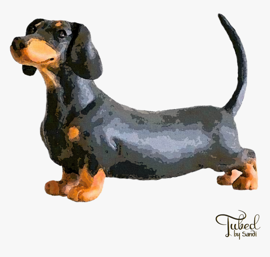 Weiner Dog Png, Transparent Png, Free Download