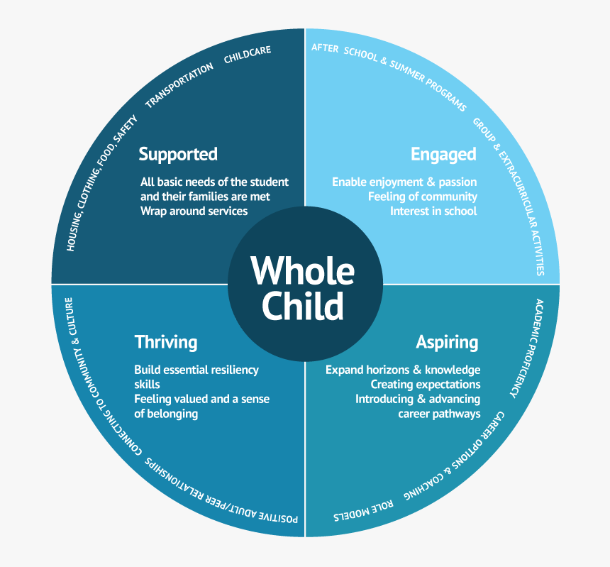 Whole Child Framework - Circle, HD Png Download, Free Download