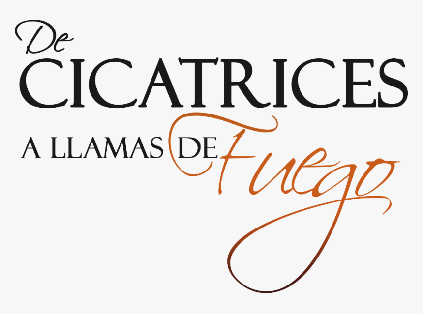 Ir A Tienda Online - Calligraphy, HD Png Download, Free Download