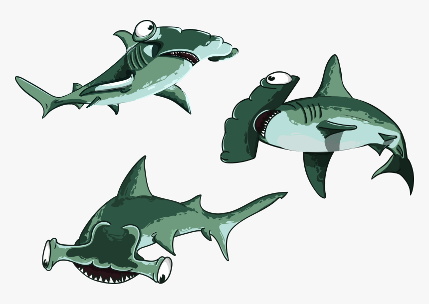 Shark, Fish, Hammer, Predator, Cartoon, Character - Cá Mập Đầu Búa Hoạt Hình, HD Png Download, Free Download