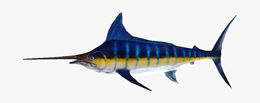 Download Zip Archive - Atlantic Blue Marlin, HD Png Download, Free Download