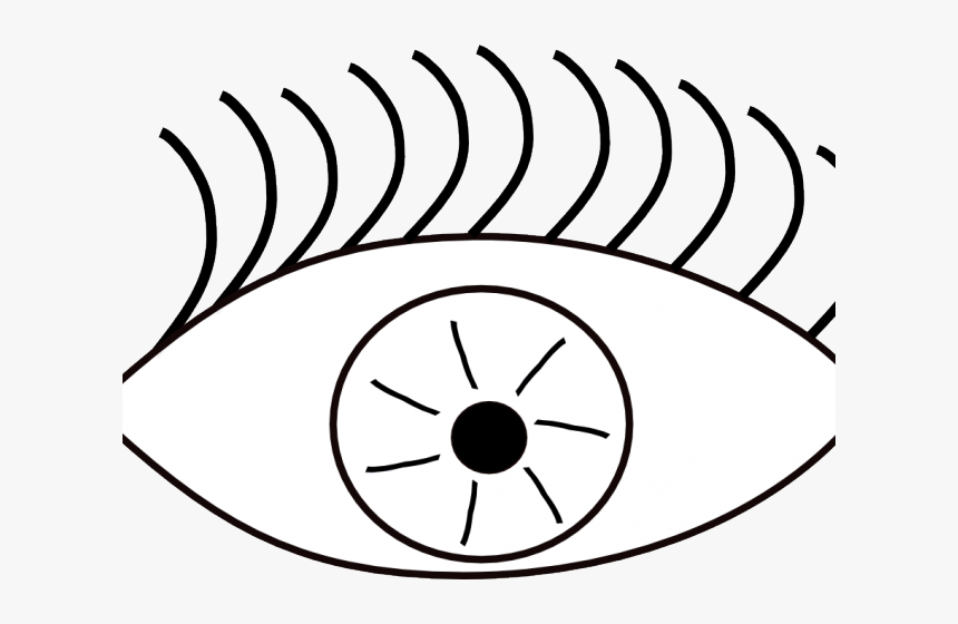 Eyeball Clipart Eye Shape - Sense Of Sight Clipart, HD Png Download, Free Download