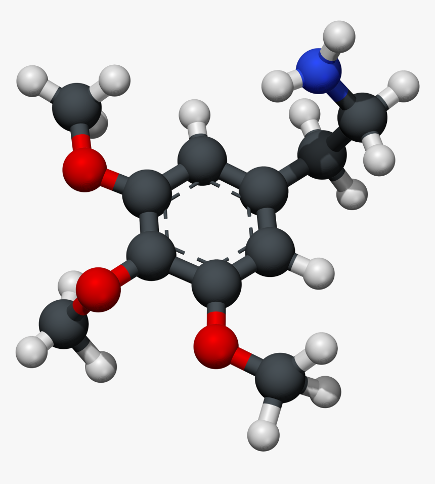 Mescaline 3d Xray Ballstick - Molecule, HD Png Download, Free Download