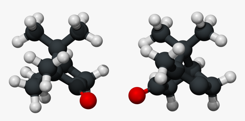 Alcanfor 3d Xray - Camphor Chemical, HD Png Download, Free Download