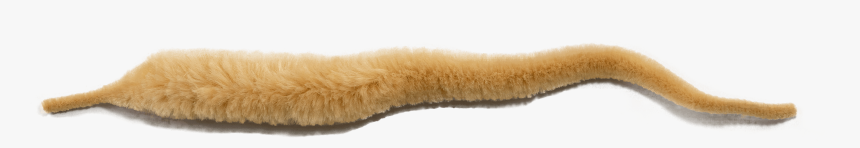 Slug, HD Png Download, Free Download