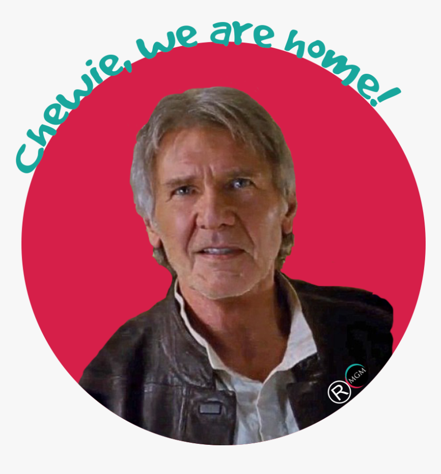 Transparent John Boyega Png - Han Chewie We Re Home, Png Download, Free Download