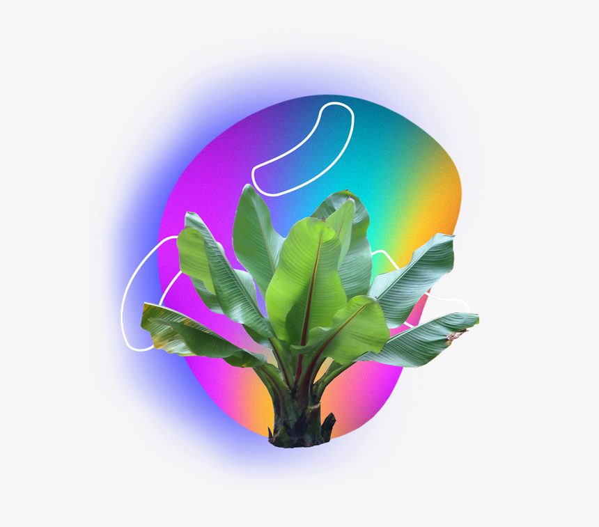 Transparent Vaporwave Palm Tree Png - Plantas Tropicales Png, Png Download, Free Download