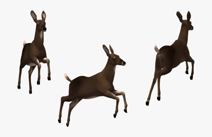 Doe 02 By Free Stock B - Clip Art, HD Png Download, Free Download