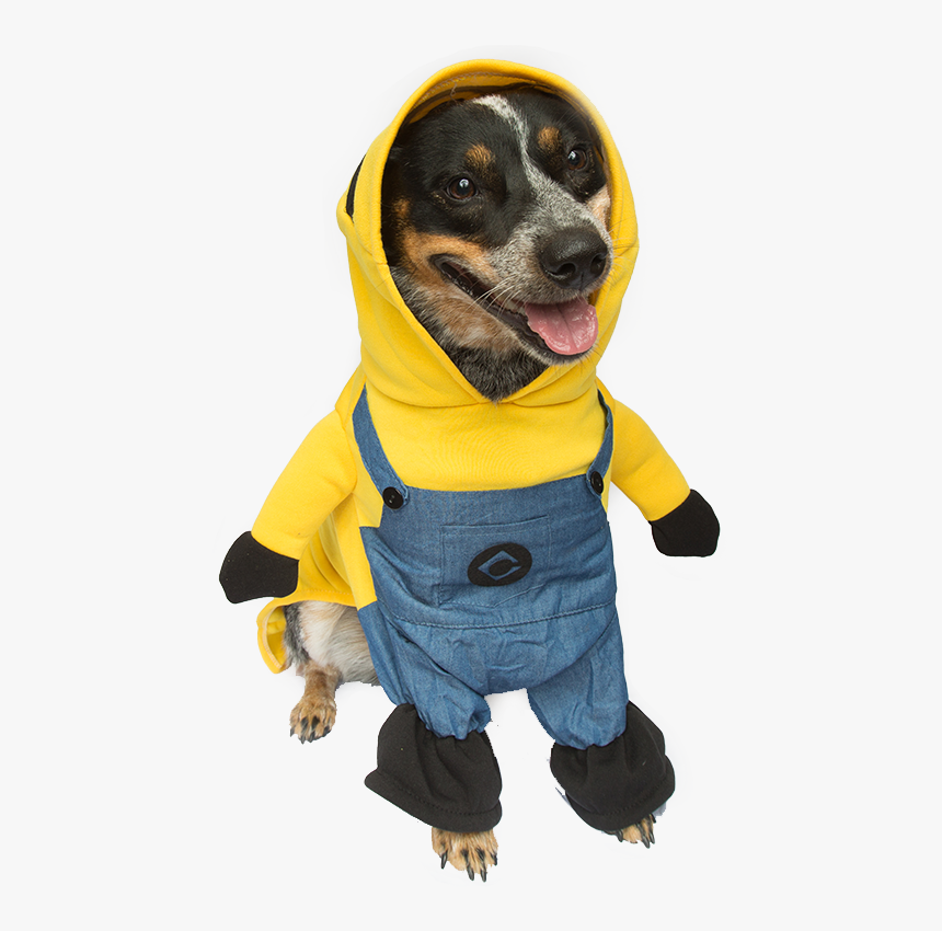 Minion Dog Costume - Dog Costume Png, Transparent Png, Free Download