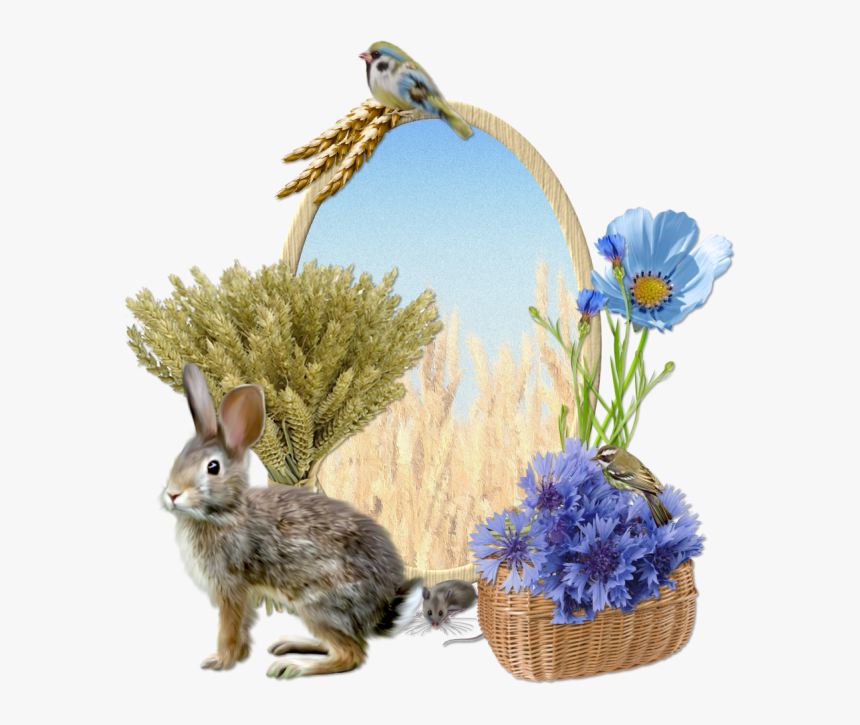 Cluster Wheatfields - Rabbit, HD Png Download, Free Download