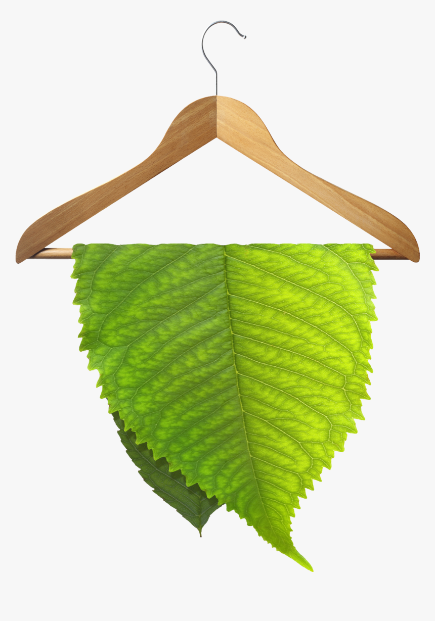 A Tremendous Breakthrough In Dry Cleaning Technology - Eco Friendly Clothing Png, Transparent Png, Free Download