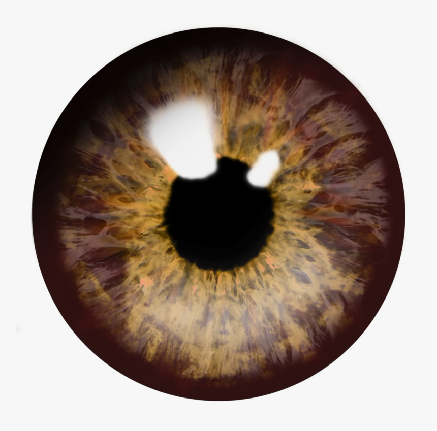 Eye Png Download Image - Transparent Brown Eyes Png, Png Download, Free Download