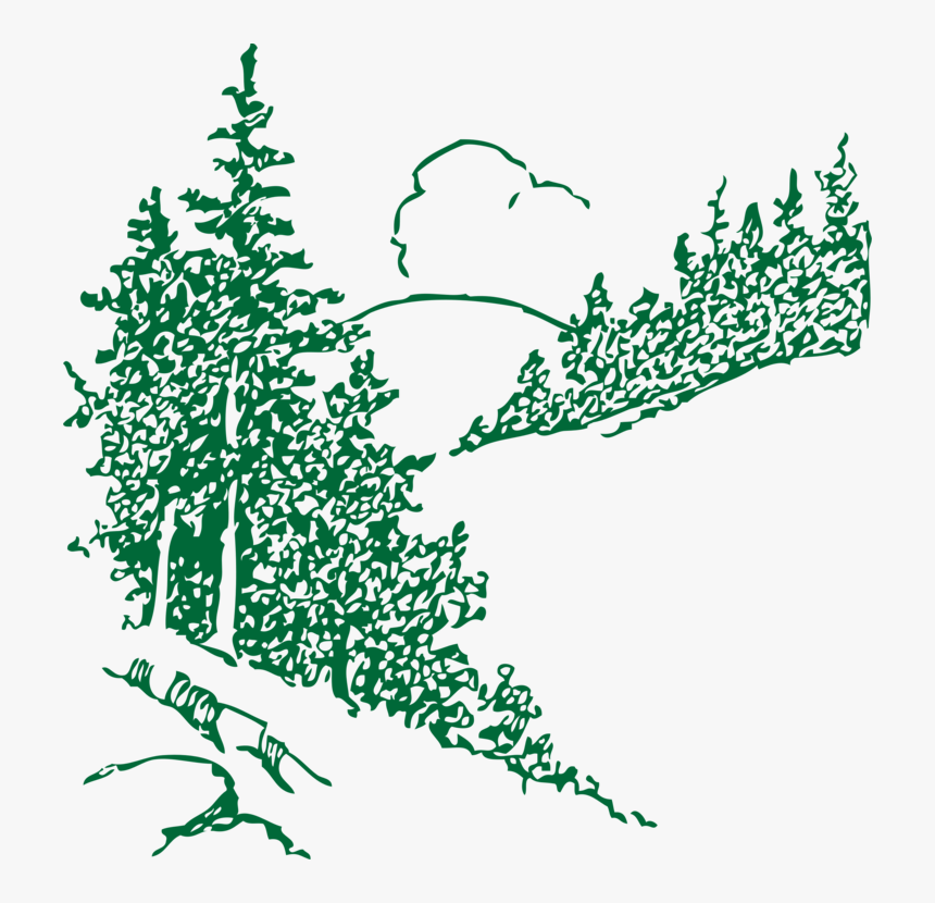 Twig Vector Conifer - Swift Outdoor Accessible Recreation, HD Png Download, Free Download