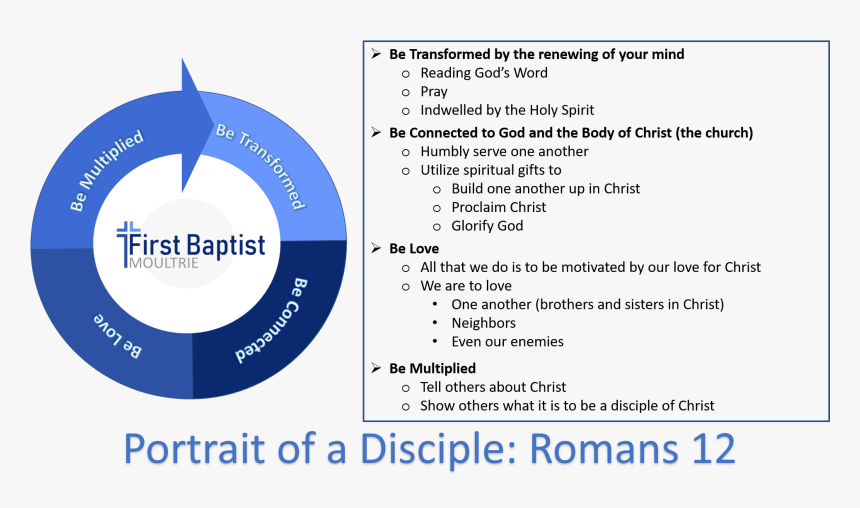 Portrait Of A Disciple - Circle, HD Png Download, Free Download