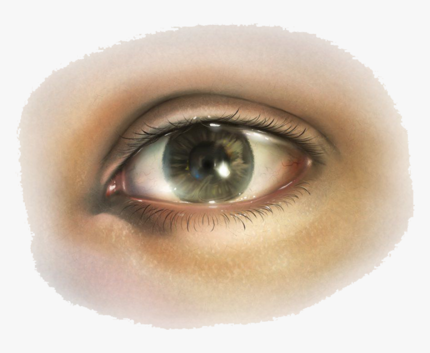 Human Eye Png - Human Eye Transparent Png, Png Download, Free Download