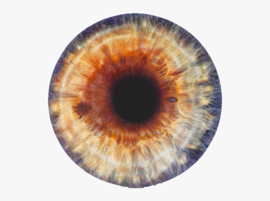 Edit, Eye, And Fire Image - Marc Quinn We Share Our Chemistry, HD Png Download, Free Download