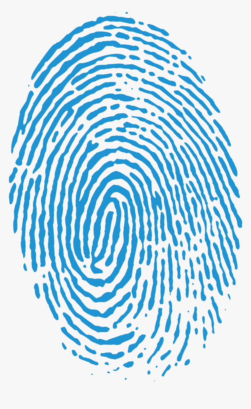 Fingerprint Biometrics Wiegand Interface Electronic - Blue Fingerprint Transparent Background, HD Png Download, Free Download