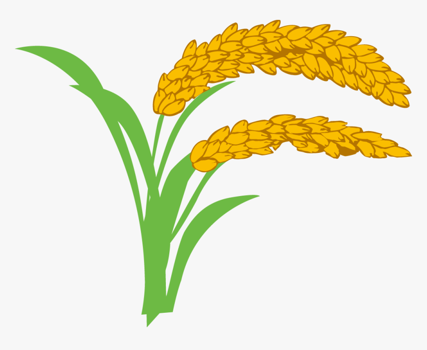 Oryza Sativa Wheat Clip - 禾 稻, HD Png Download, Free Download