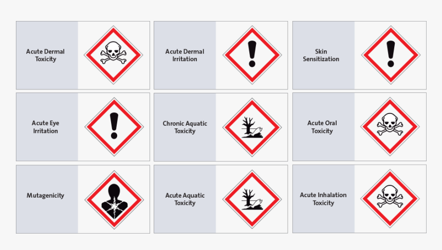 Cheminformatics 9 Hazard Endpoint Pictograms - Faresymboler Lab, HD Png Download, Free Download