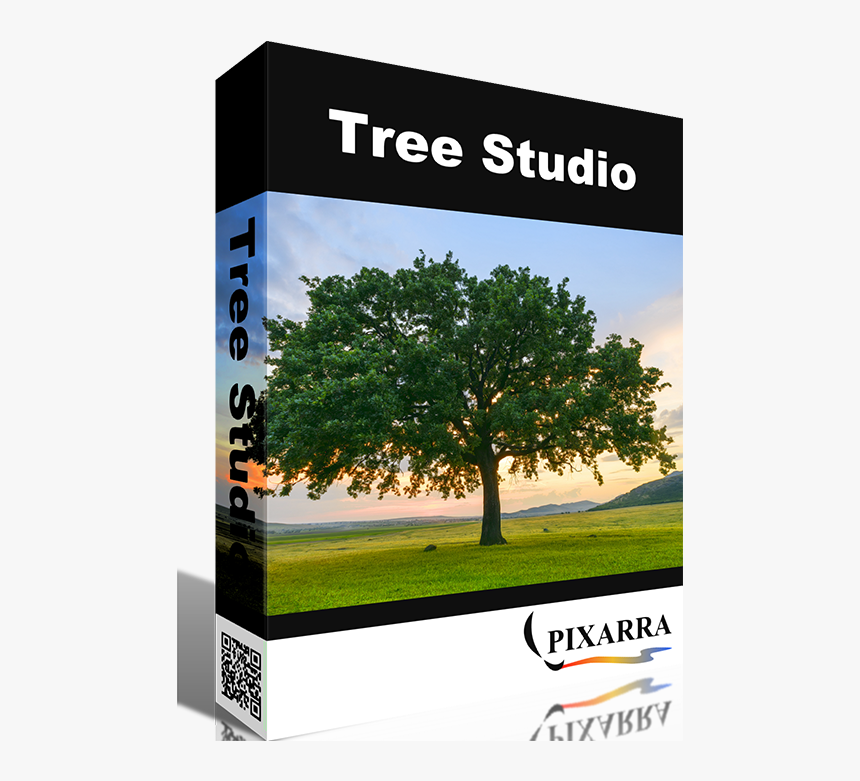 Tree Studio - Environmental Memes, HD Png Download, Free Download