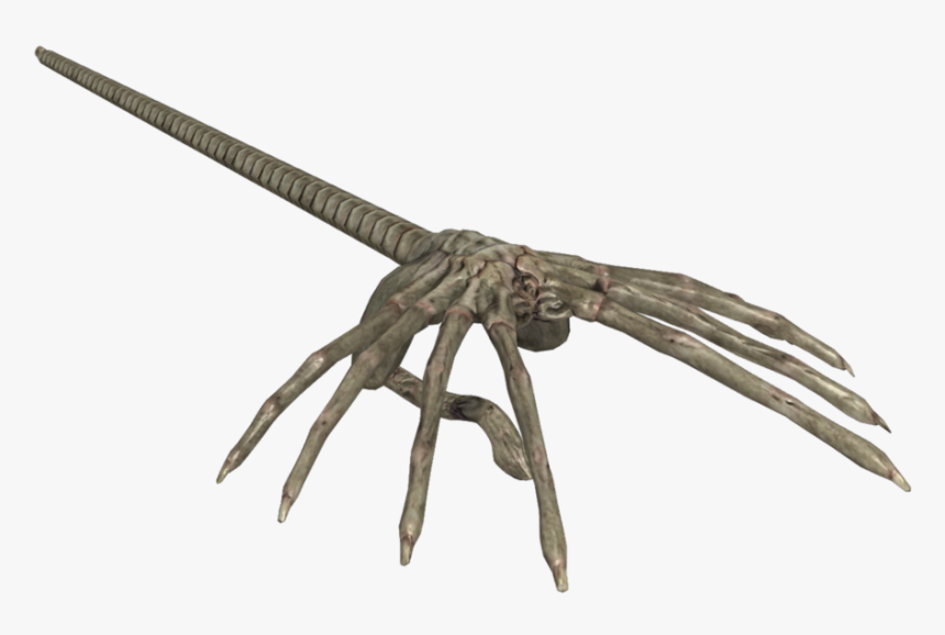 Facehugger Png 5 » Png Image - Deviantart Face Hugger Xps, Transparent Png, Free Download