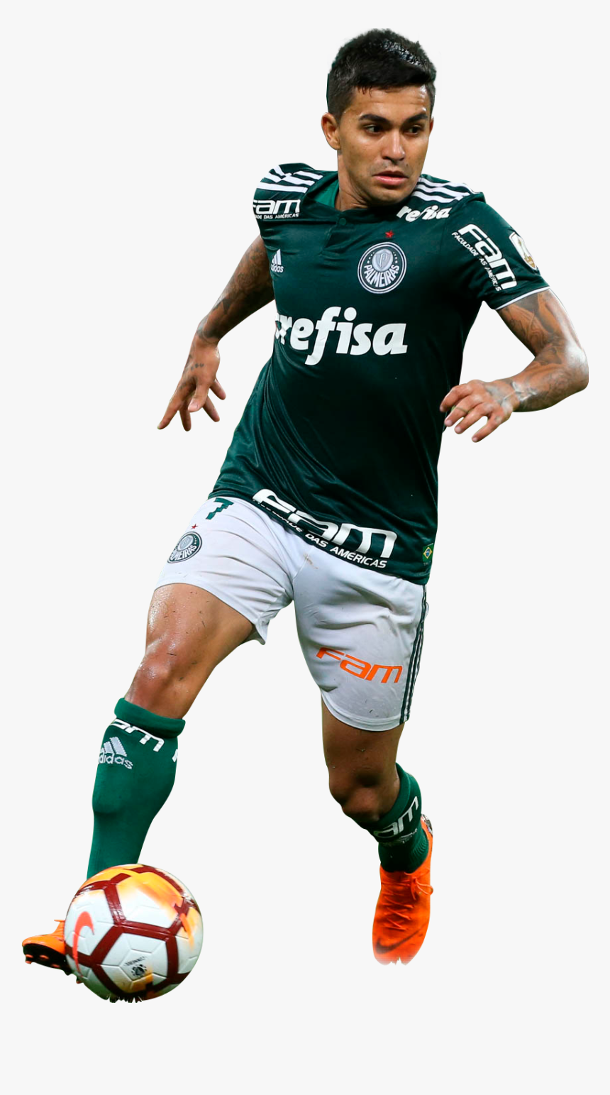Transparent Palmeiras Png, Png Download, Free Download