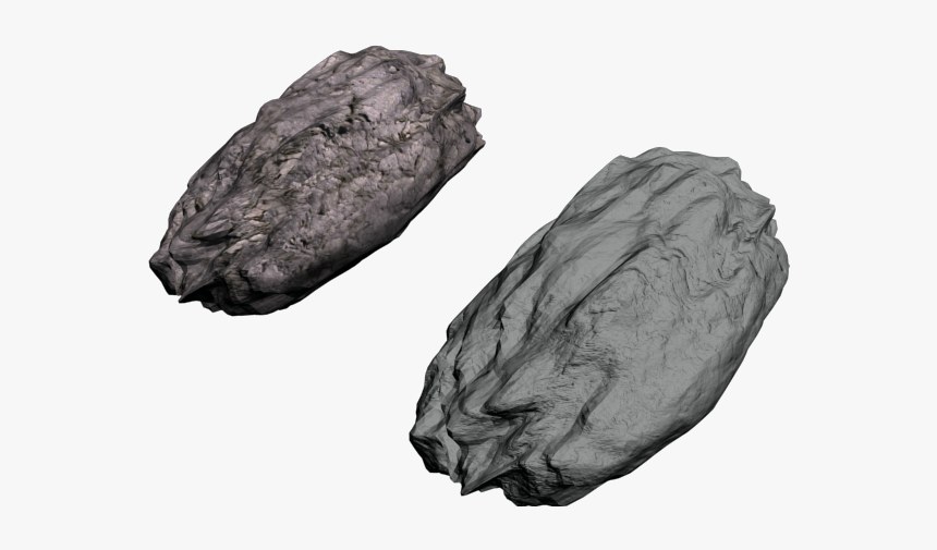 New Comets - Momordica Charantia, HD Png Download, Free Download