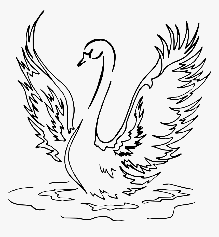 Onlinelabels Clip Art Swan Drawing Png Transparent Png Kindpng