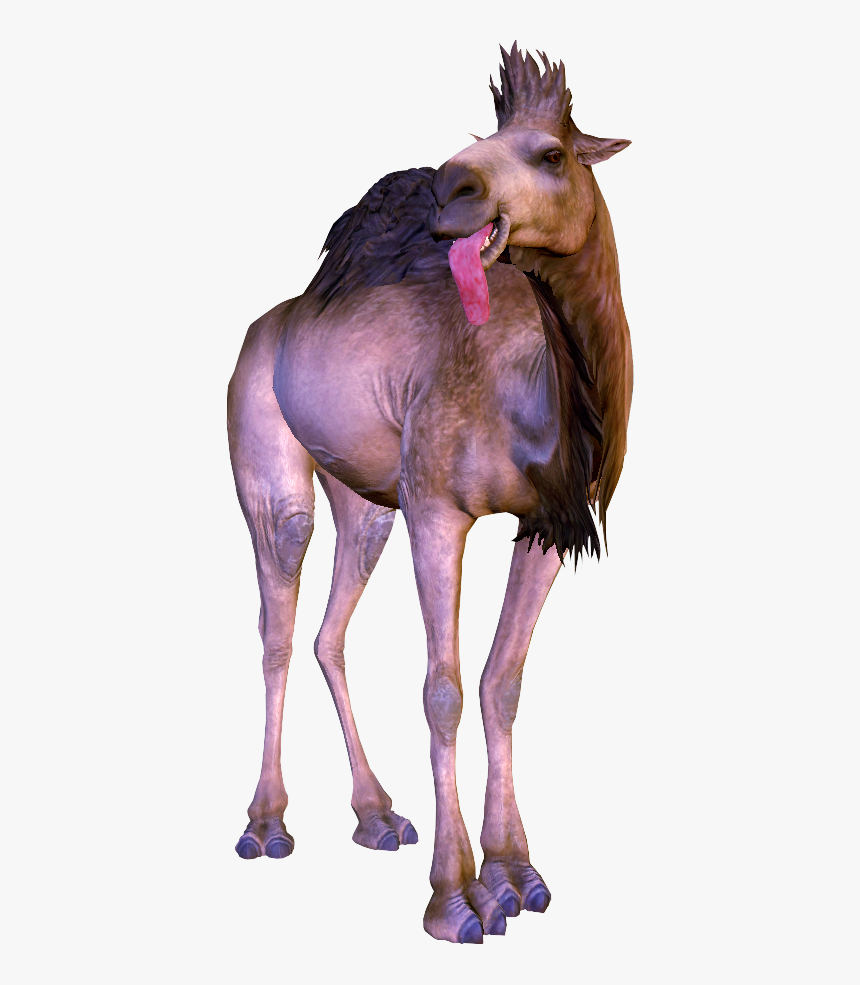 Arabian Camel, HD Png Download, Free Download