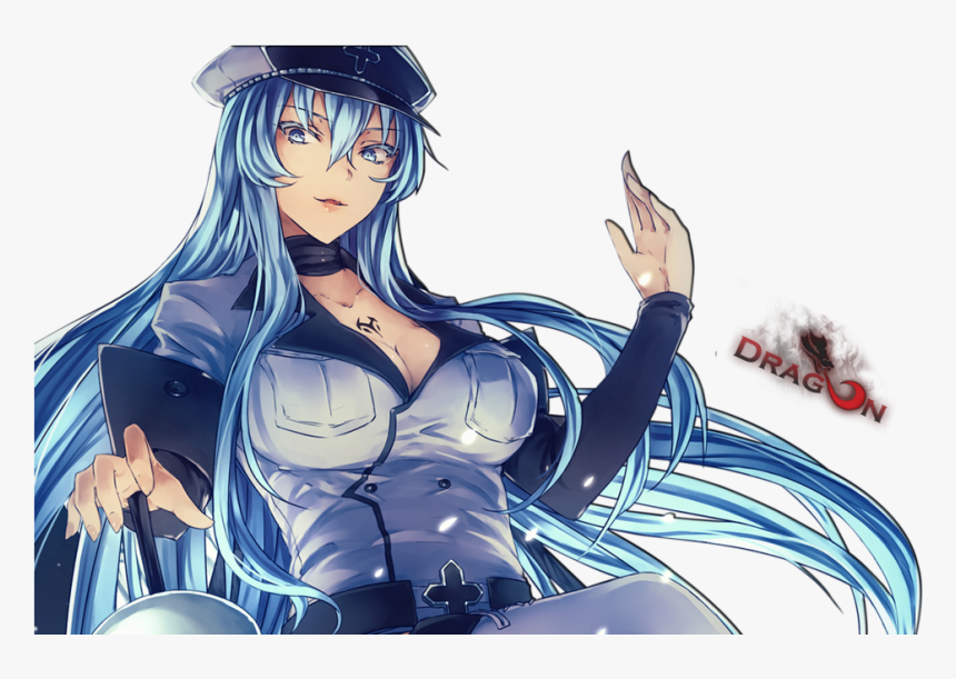 Akame Ga Kill Render - Esdeath Akame Ga Kill Render, HD Png Download, Free Download