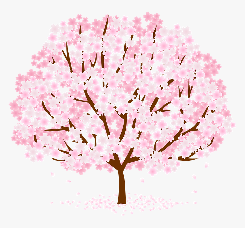 Tree, Blossom, Flower, Nature, Pink - Cherry Blossom, HD Png Download, Free Download