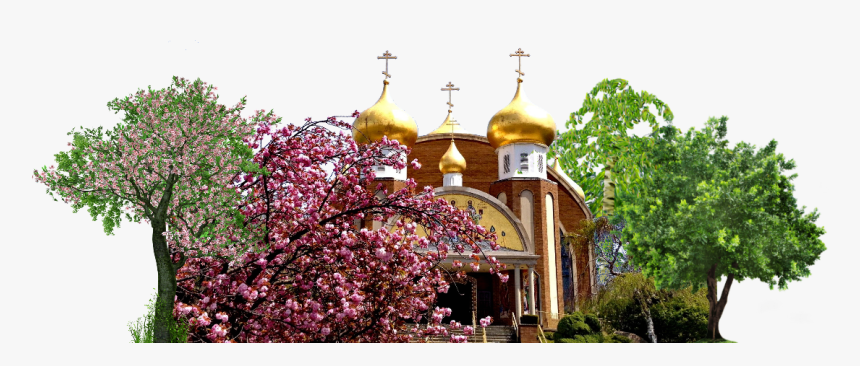 Russian Orthodox Church Of Three Saints Храм Трех Святителей - Parish, HD Png Download, Free Download