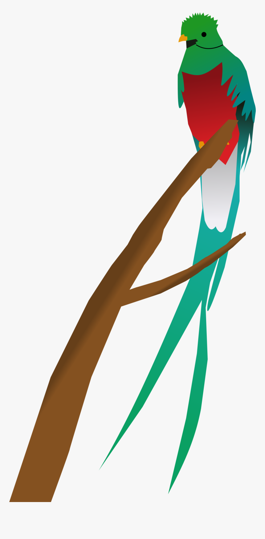 Quetzal Clip Arts - Quetzal Clipart, HD Png Download, Free Download