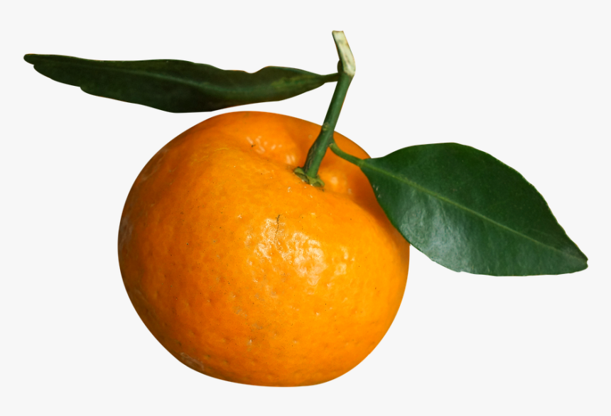 food fruits vietnam tangerines orange clementine png transparent png kindpng food fruits vietnam tangerines