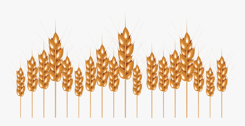 Wheat, HD Png Download, Free Download