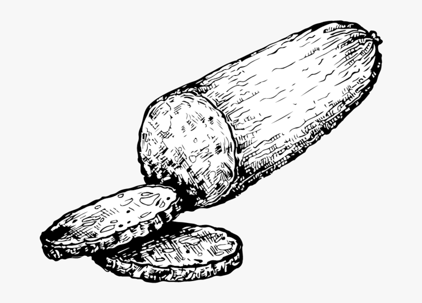 Transparent Salami Png - Illustration, Png Download, Free Download