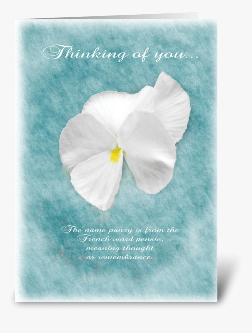 Thinking Of You Pansy Greeting Card - Arum, HD Png Download, Free Download