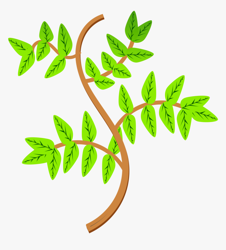 Leaves And Branches Clip Arts - Leaves And Branches Clipart, HD Png Download, Free Download