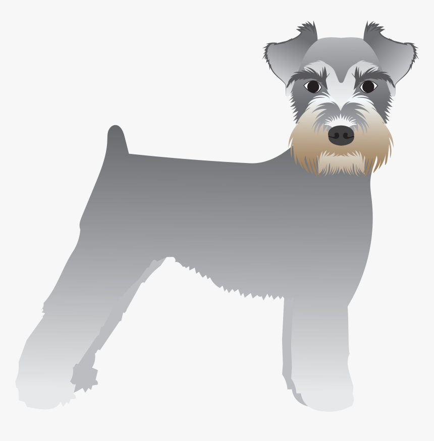 Miniature Schnauzer, HD Png Download, Free Download