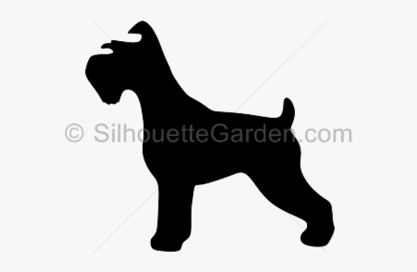 Mini Schnauzer Cliparts - Schnauzer Silhouette Clip Art, HD Png Download, Free Download